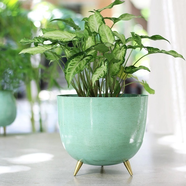 Plant Buckets – Top Ten New Leaf Baskets Light Blue Metal Planter with Legs