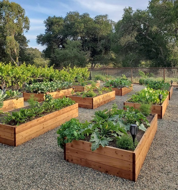 Plant Buckets – Top Ten New Leaf Baskets Raised Garden Bed Wooden Planter