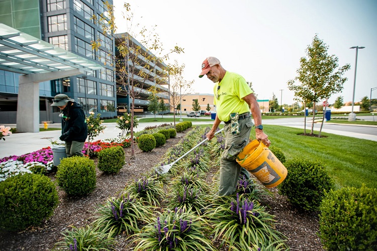 Commercial Landscaping